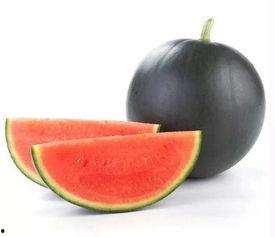 吃瓜娱乐号怎么做起来的