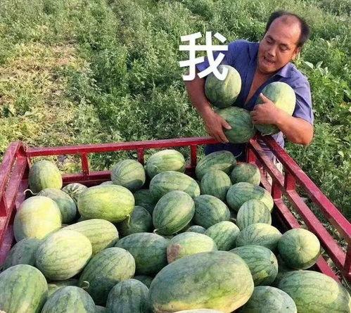 吃娱乐的瓜,揭秘明星幕后故事