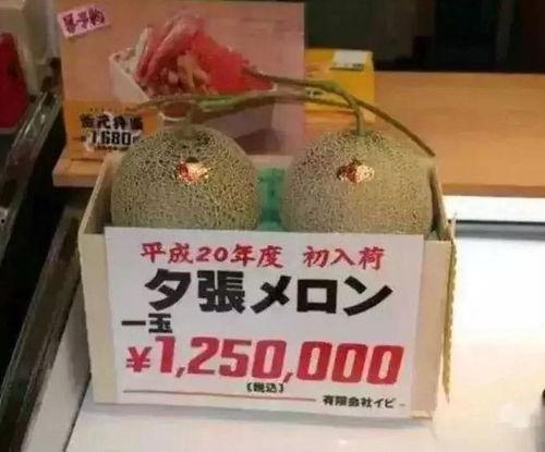 娱乐吃瓜酱标签,吃瓜酱带你领略明星幕后故事