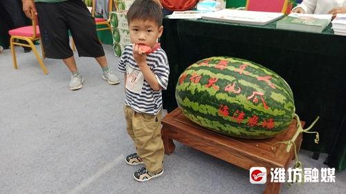 娱乐吃瓜带货,娱乐圈吃瓜达人带你解锁带货新姿势