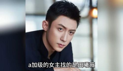 吃瓜娱乐圈八卦郑恺是谁,娱乐圈吃瓜达人，揭秘明星幕后故事