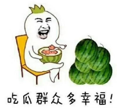 每天看娱乐吃瓜会怎么样,生活百态尽收眼底
