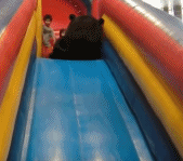 吃瓜表情包gif搞笑图片,吃瓜表情包GIF搞笑大盘点